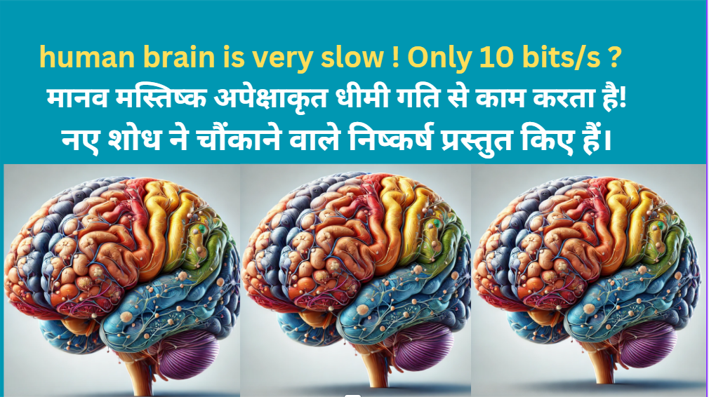 science : human brain speed is only 10bits/s